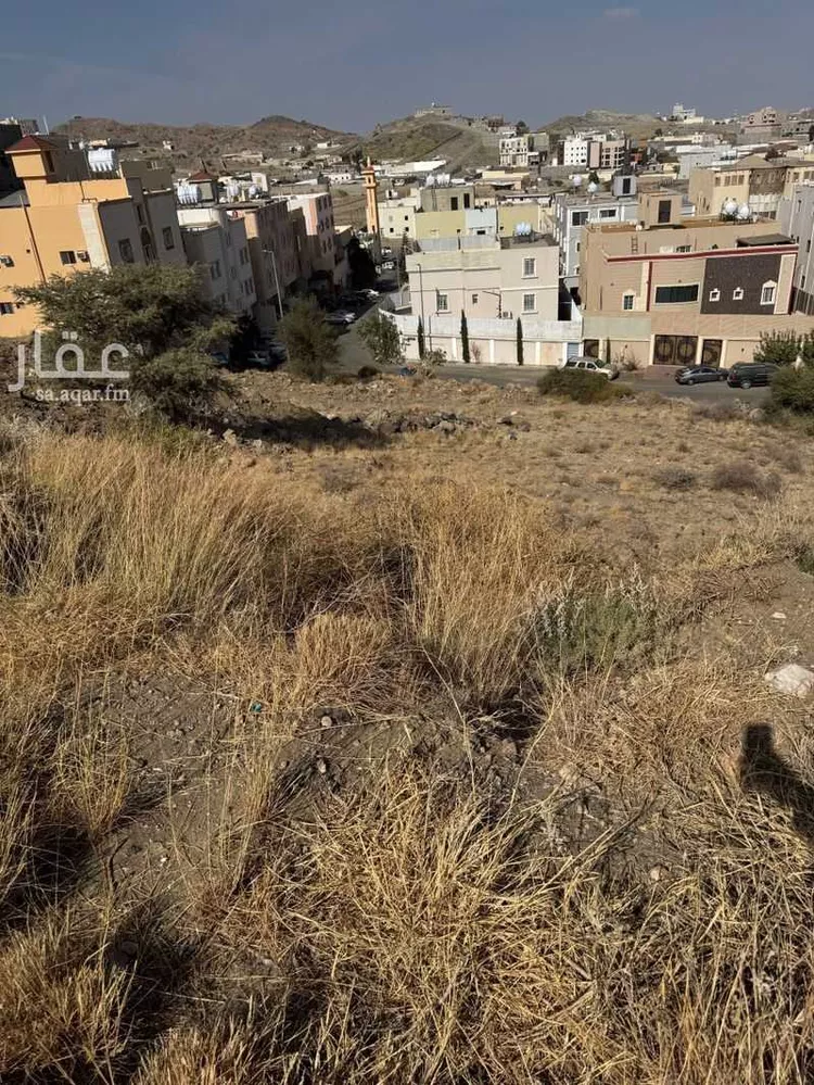 أرض للبيع في شارع المتوكل بالله, حي القراحين, مدينة امارة منطقة مكة المكرمة - الطائف, منطقة مكة المكرمة صورة 5