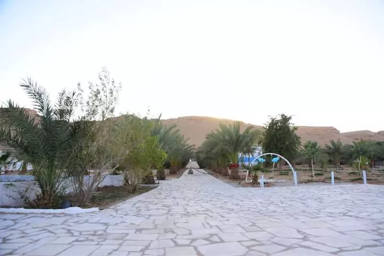 مزرعة للبيع في شارع الكوخ, حي البديع الشرقى, مدينة ضرما, منطقة الرياض صورة 4