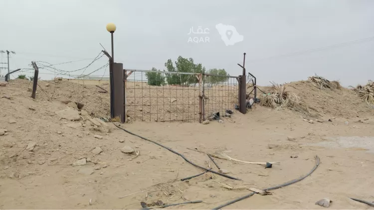 أرض للبيع في شارع ابن عبدالبر, حي الريان, مدينة الريان, منطقة الرياض 6