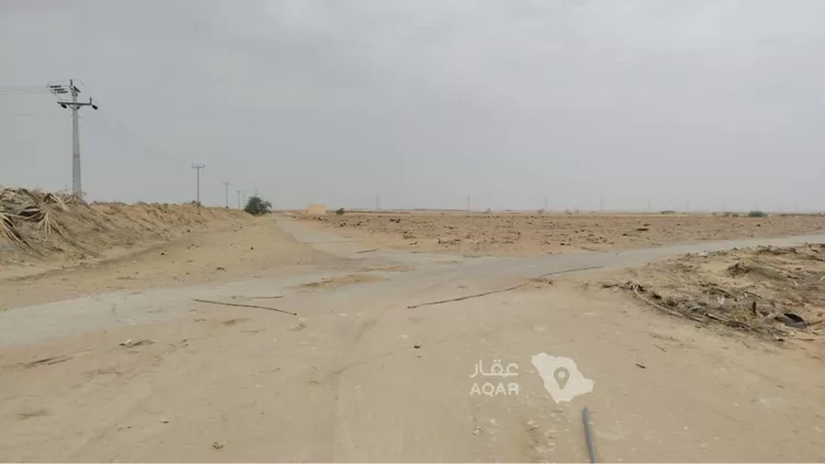 أرض للبيع في شارع ابن عبدالبر, حي الريان, مدينة الريان, منطقة الرياض صورة 5