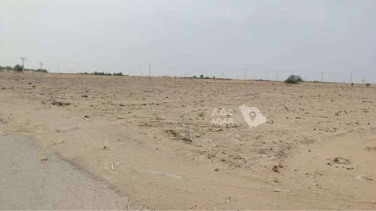 أرض للبيع في شارع ابن عبدالبر, حي الريان, مدينة الريان, منطقة الرياض صورة 2
