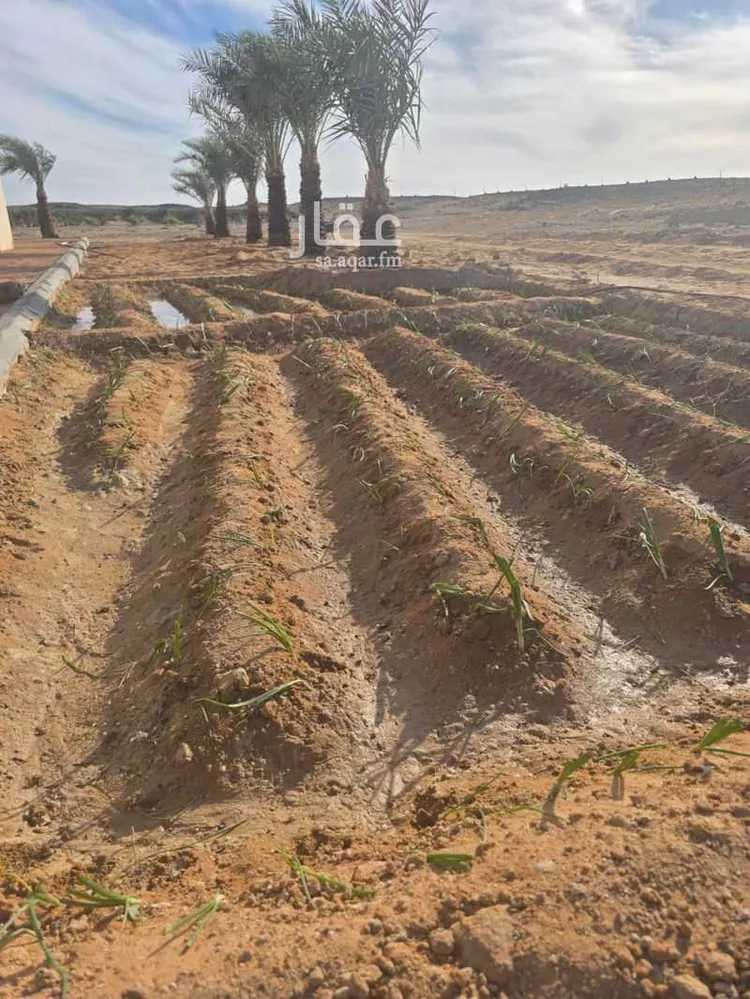 مزرعة للبيع في شارع الحفاير, حي حفائر العهين, مدينة الشملى, منطقة حائل 8