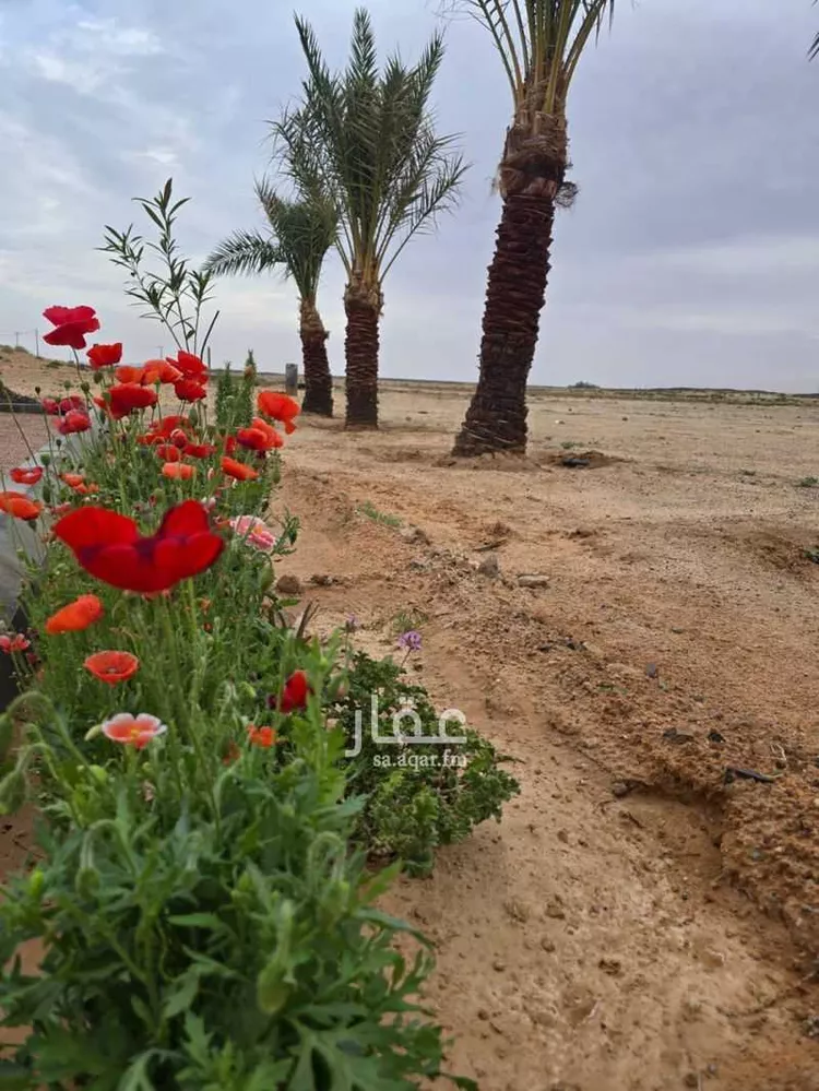 مزرعة للبيع في شارع الحفاير, حي حفائر العهين, مدينة الشملى, منطقة حائل صورة 4