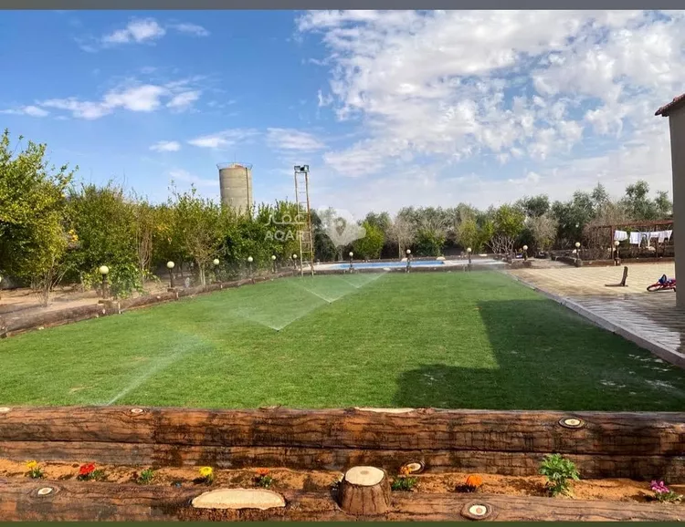Farm for Sale in Hail An Nasim 7