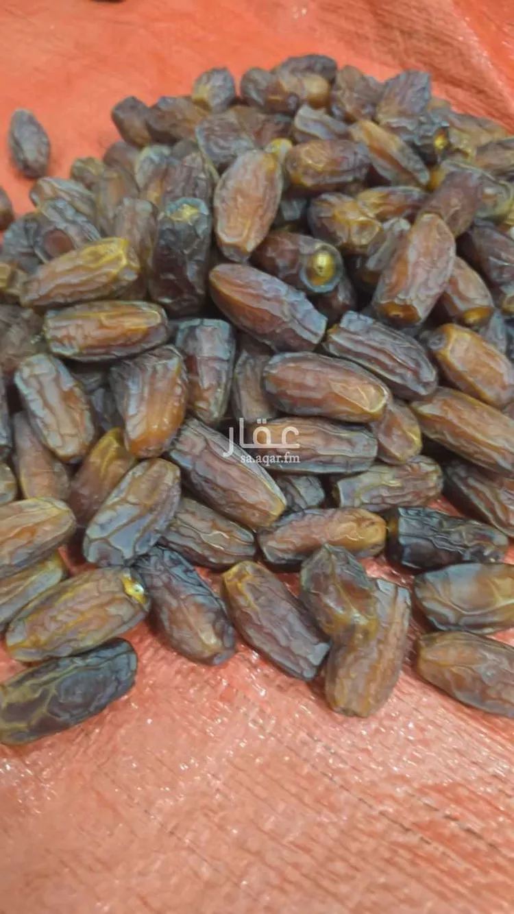 مزرعة للبيع في شارع الحفاير, حي حفائر العهين, مدينة الشملى, منطقة حائل 15