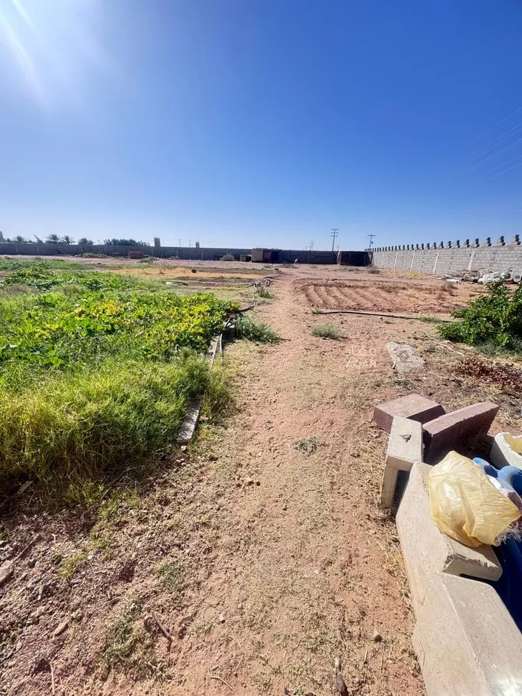 Farm for Sale in Hail An Nasim 8