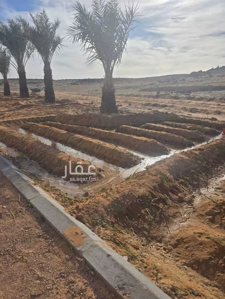 Farm for Sale in Al Ghazalah Al Ghazalah