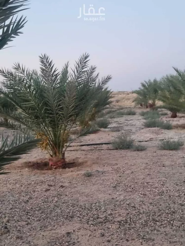 مزرعة للبيع في شارع الحفاير, حي حفائر العهين, مدينة الشملى, منطقة حائل 13