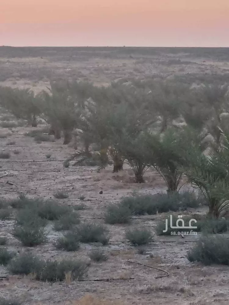 مزرعة للبيع في شارع الحفاير, حي حفائر العهين, مدينة الشملى, منطقة حائل صورة 3
