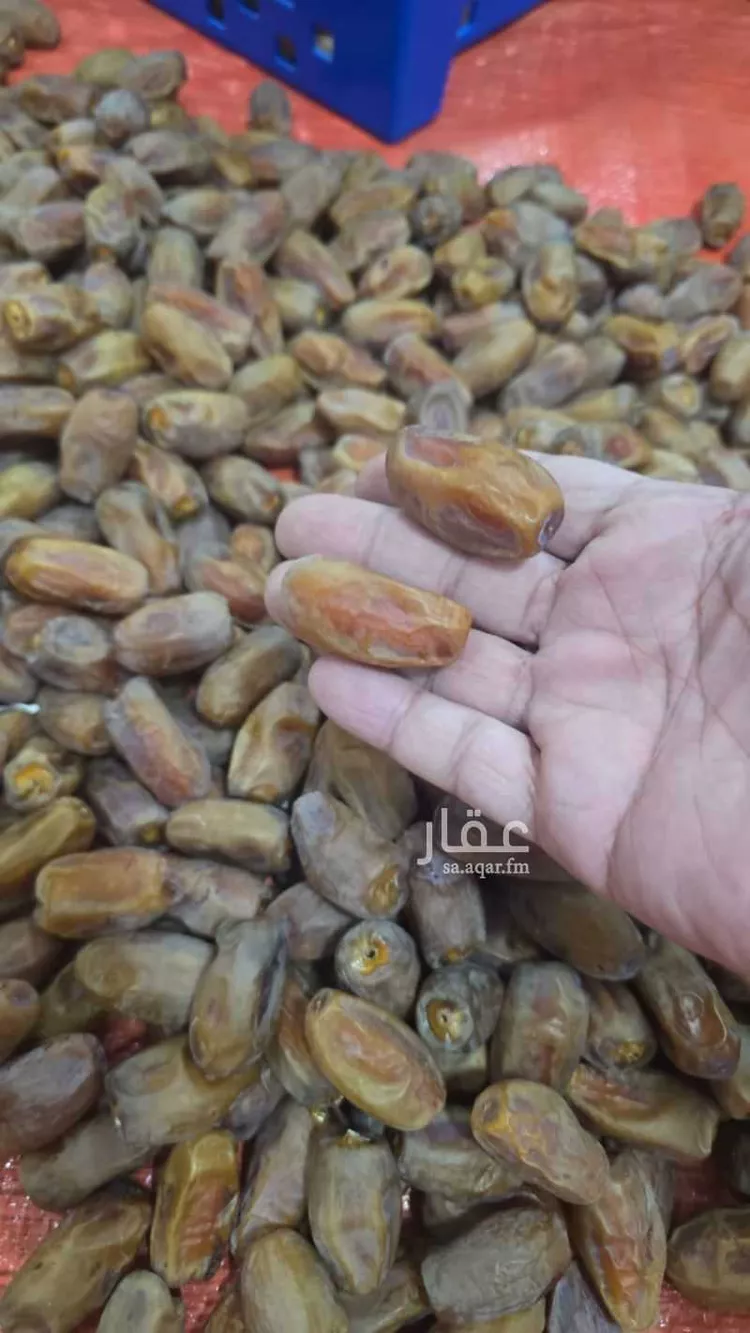 مزرعة للبيع في شارع الحفاير, حي حفائر العهين, مدينة الشملى, منطقة حائل 16