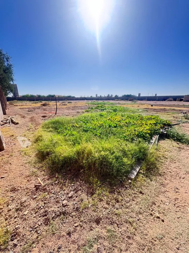 Farm for Sale in Hail An Nasim 12