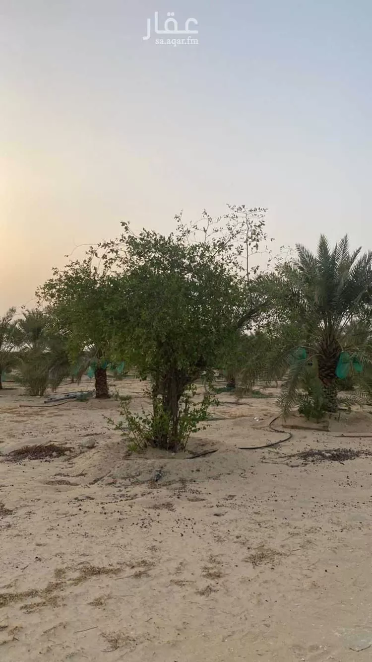 مزرعة للبيع في شارع طريق الكويت القديم, مدينة الجبيل, المنطقة الشرقية صورة 4