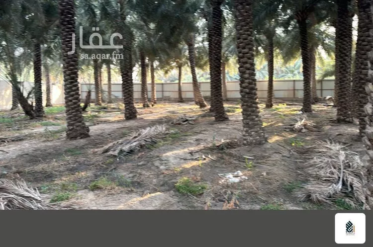 مزرعة للبيع في شارع الشقيق, مدينة الاحساء, المنطقة الشرقية صورة 2