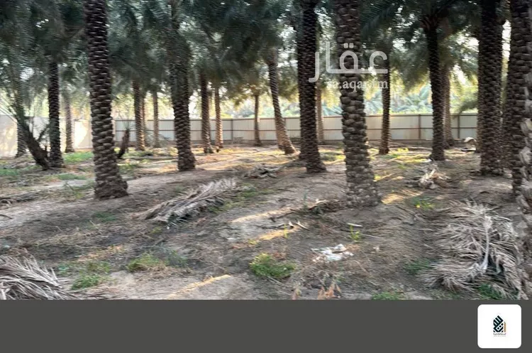 مزرعة للبيع في شارع الشقيق, مدينة الاحساء, المنطقة الشرقية