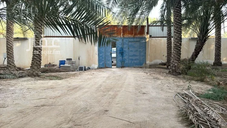 مزرعة للبيع في شارع بدون, مدينة الاحساء, المنطقة الشرقية