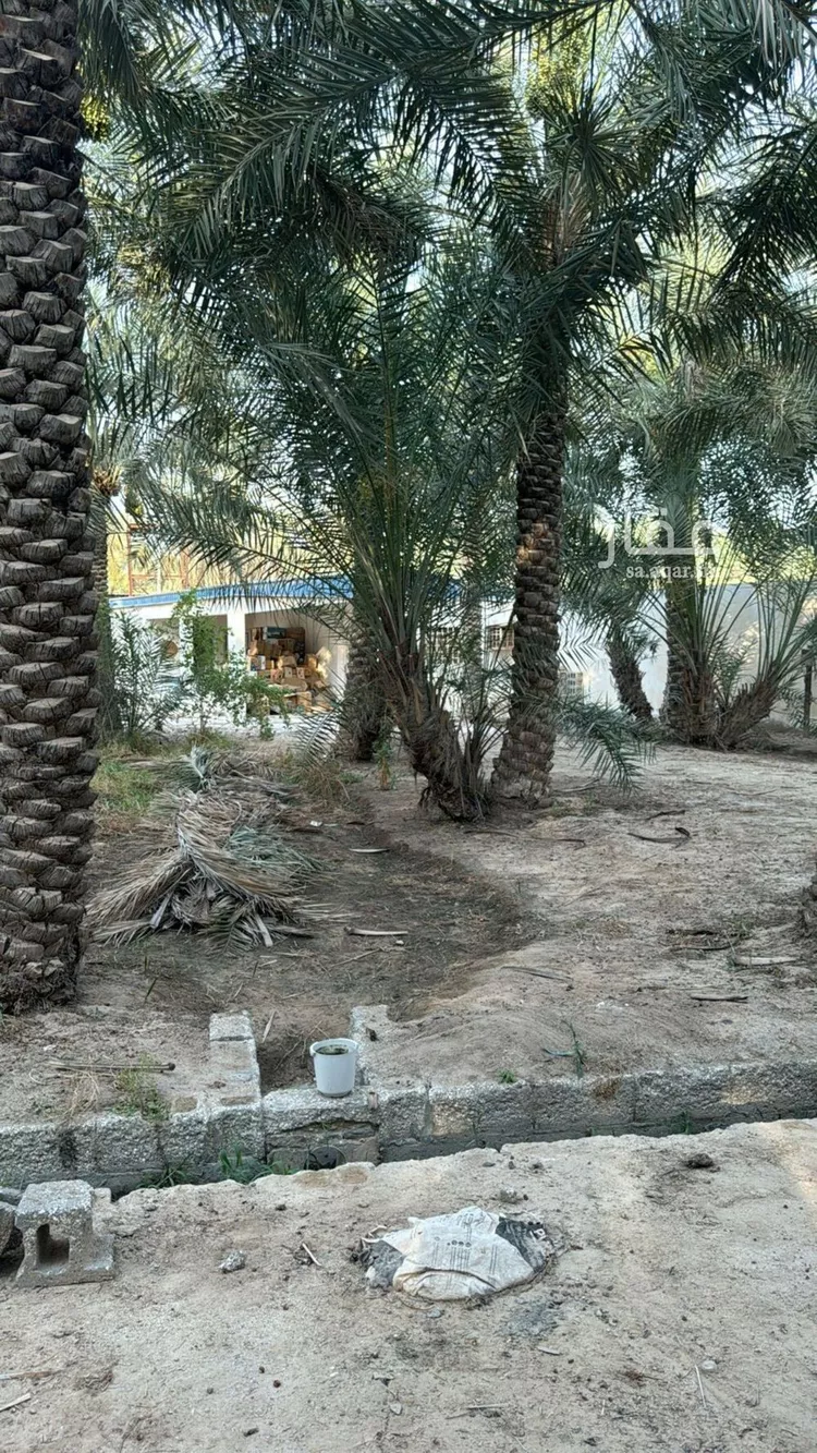 مزرعة للبيع في شارع بدون, مدينة الاحساء, المنطقة الشرقية صورة 3