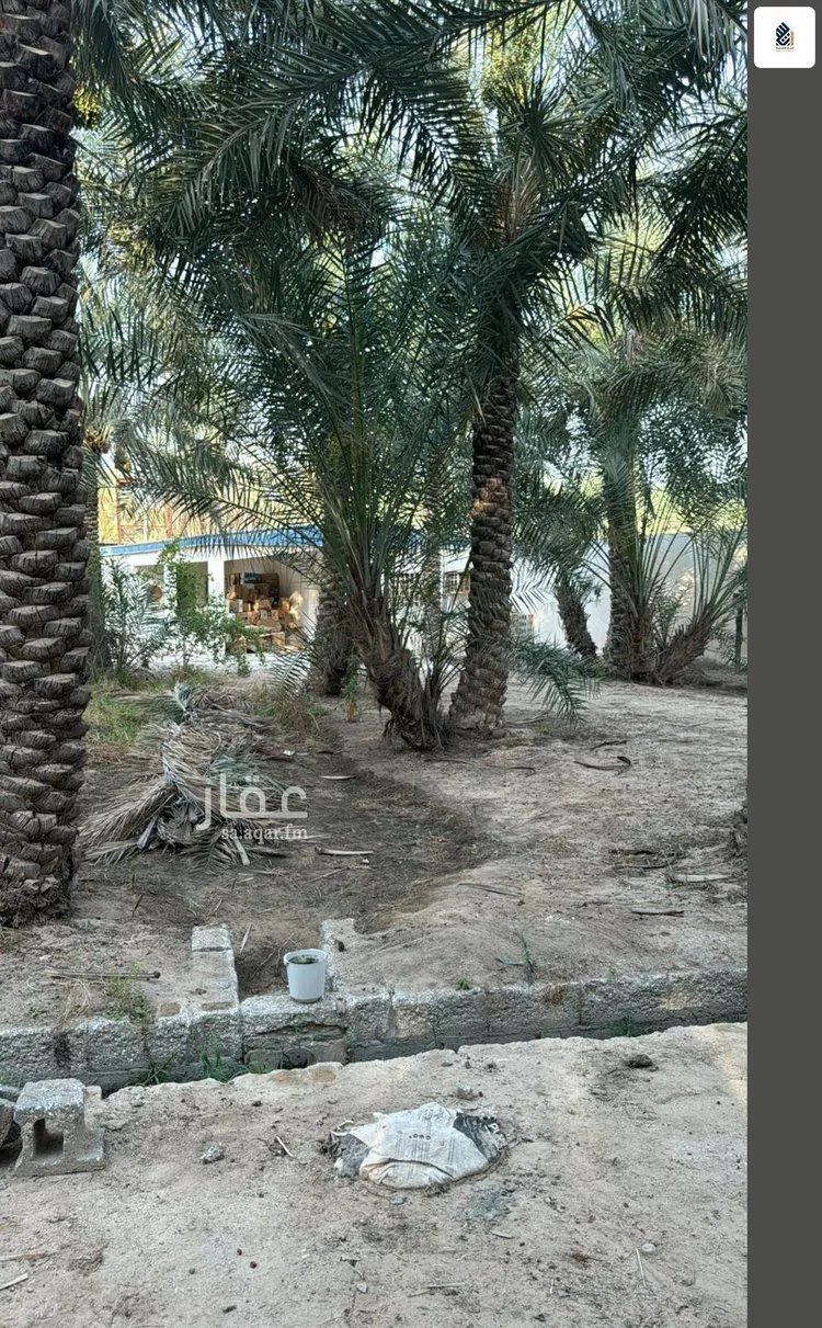 مزرعة للبيع في شارع الشقيق, مدينة الاحساء, المنطقة الشرقية صورة 4