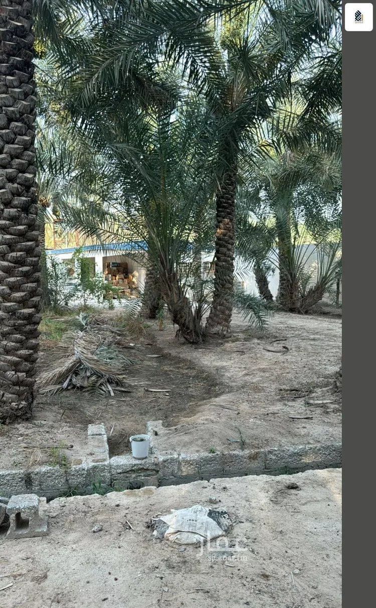 مزرعة للبيع في شارع الشقيق, مدينة الاحساء, المنطقة الشرقية صورة 4