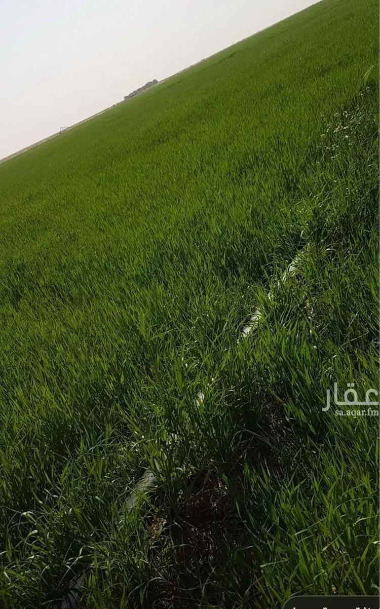 مزرعة للبيع في حي العدوه والمزارع الشرقيه, مدينة العدوه والمزارع الشرقيه, منطقة الرياض صورة 2