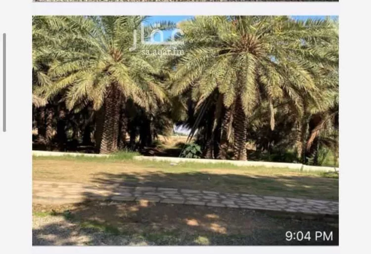 مزرعة للبيع في مدينة مرات, منطقة الرياض صورة 4