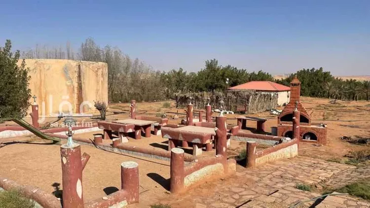 مزرعة للبيع في شارع هجره الذيبيه وخضراء 2356, حي هجره الذيبيه وخضراء, مدينة هجره الذيبيه وخضراء, منطقة الرياض صورة 5