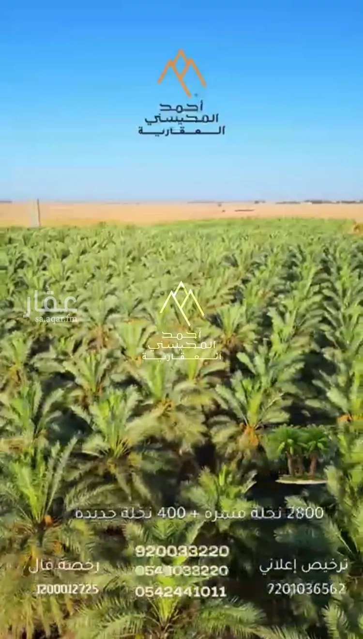 مزرعة للبيع في حي محير الترمس, مدينة محير الترمس, منطقة القصيم