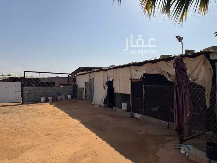 مزرعة للبيع في شارع رافع ابن ابي رافع الطائي, حي القطار, مدينة الخرج, منطقة الرياض صورة 2