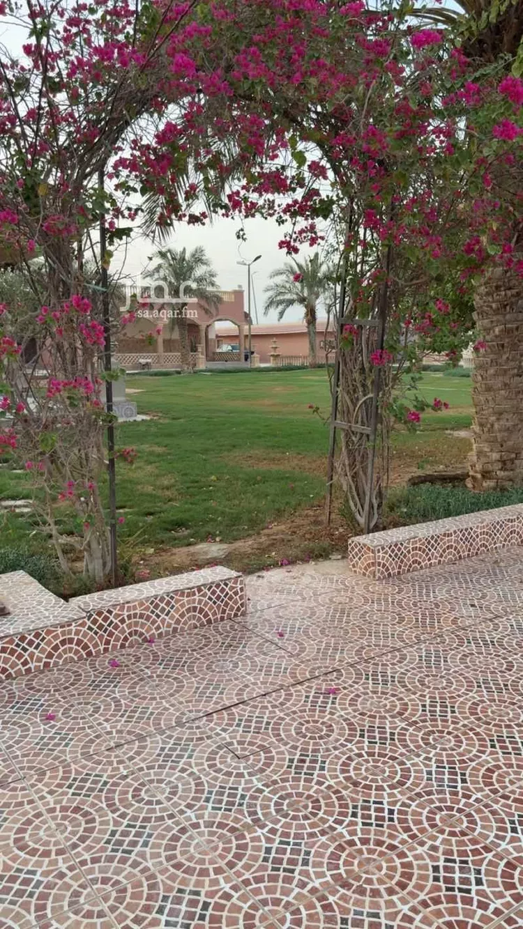 شاليه واستراحة للحجز في شارع انجشة ، قصر القرينة ، ضرما صورة 5