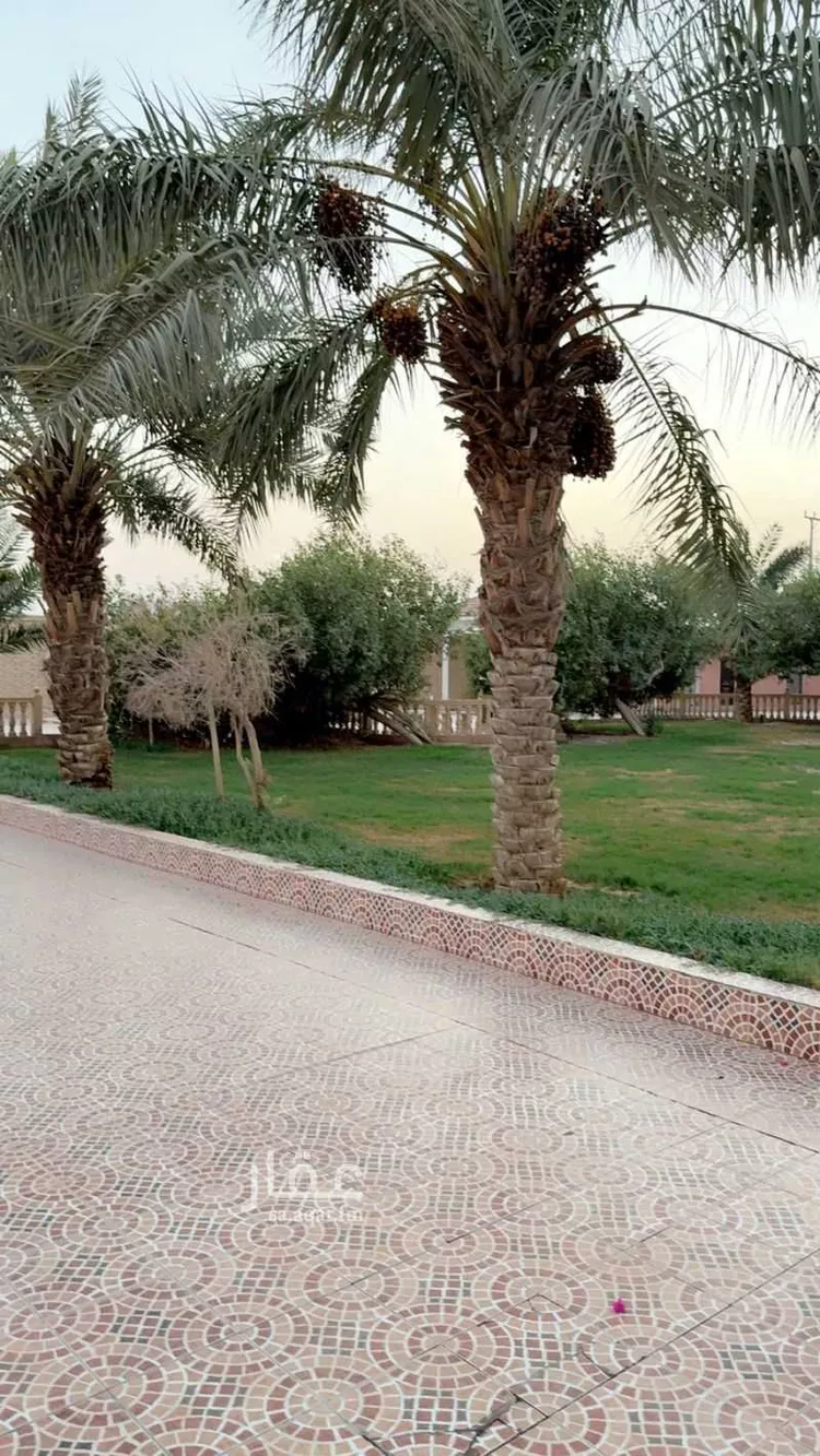 شاليه واستراحة للحجز في شارع انجشة ، قصر القرينة ، ضرما 7
