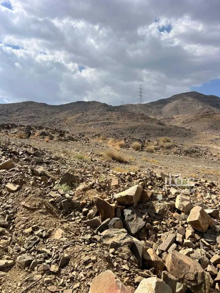 أرض للبيع في شارع الفرعي, حي الزين, مدينة أبها, منطقة عسير