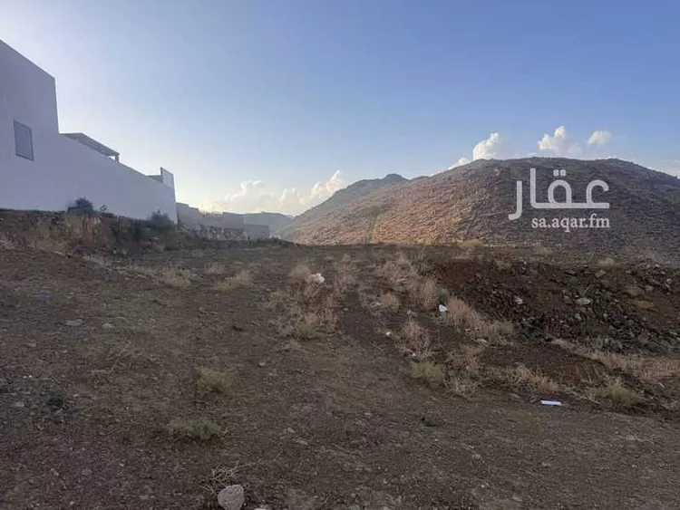 أرض للبيع في شارع الرئيس, حي الوادي, مدينة أبها, منطقة عسير صورة 2