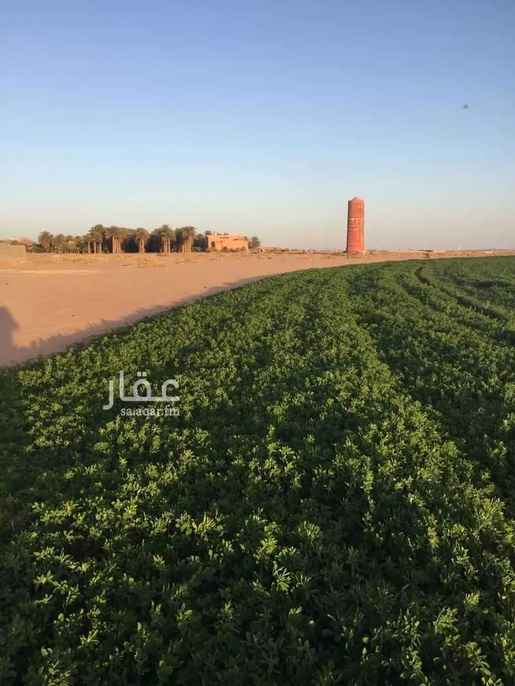 مزرعة للبيع في شارع القفيعي 282, مدينة القفيعى, منطقة حائل صورة 3