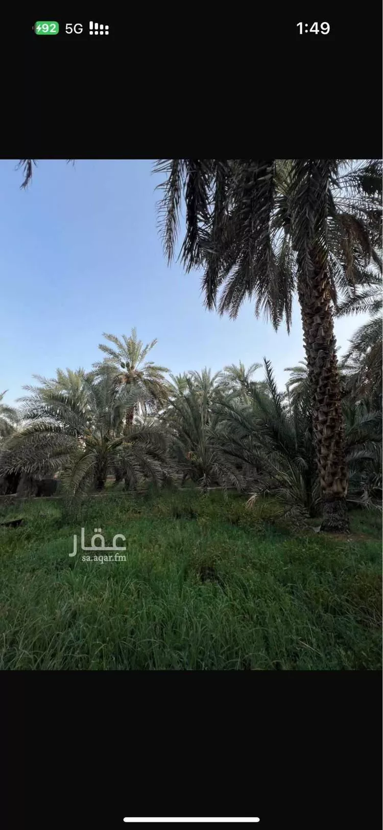 Farm for Sale in Medina Ash Shuraybat
