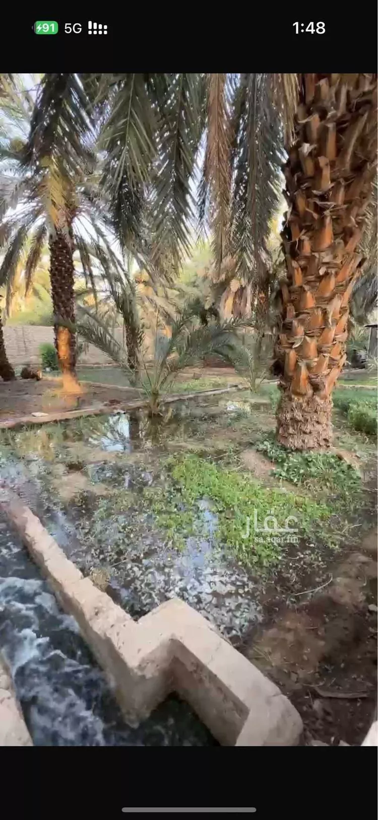 Farm for Sale in Medina Ash Shuraybat صورة 2