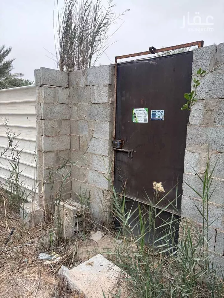 مزرعة للبيع في شارع الشعبة 3, حي الشعبة, مدينة الاحساء, المنطقة الشرقية صورة 4