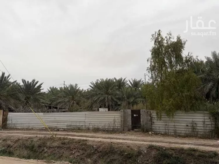 مزرعة للبيع في شارع الشعبة 3, حي الشعبة, مدينة الاحساء, المنطقة الشرقية صورة 3