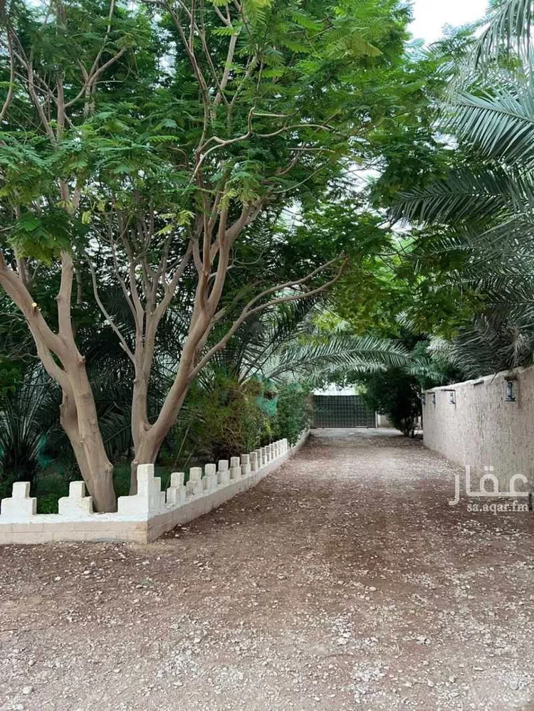 مزرعة للبيع في شارع طريق الأمير سلمان بن محمد, مدينة الدلم, منطقة الرياض صورة 5