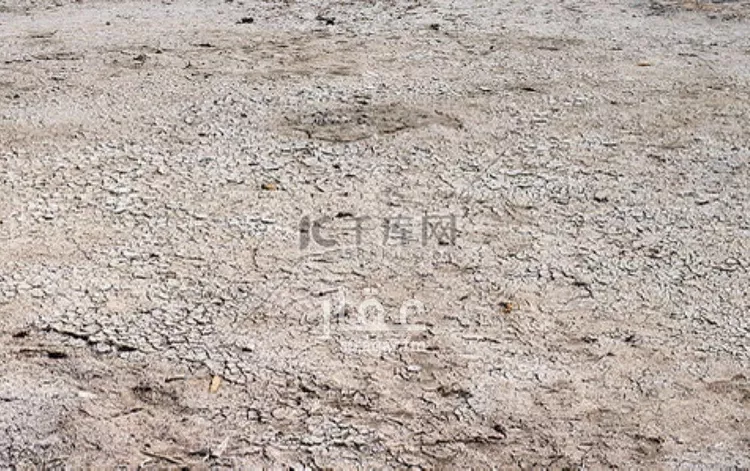 أرض للبيع في شارع المدان الأعلى, حي المصفاة, مدينة الرياض, منطقة الرياض صورة 2