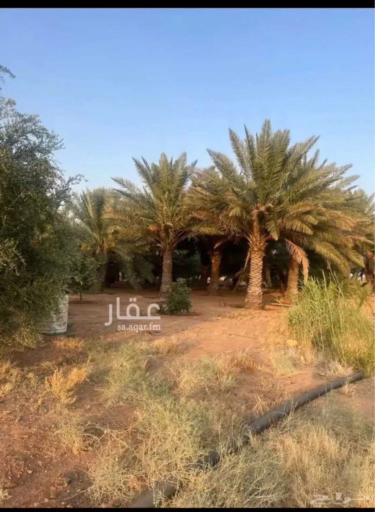 أرض للبيع في حي الجرفية, مدينة الجرفية, منطقة حائل