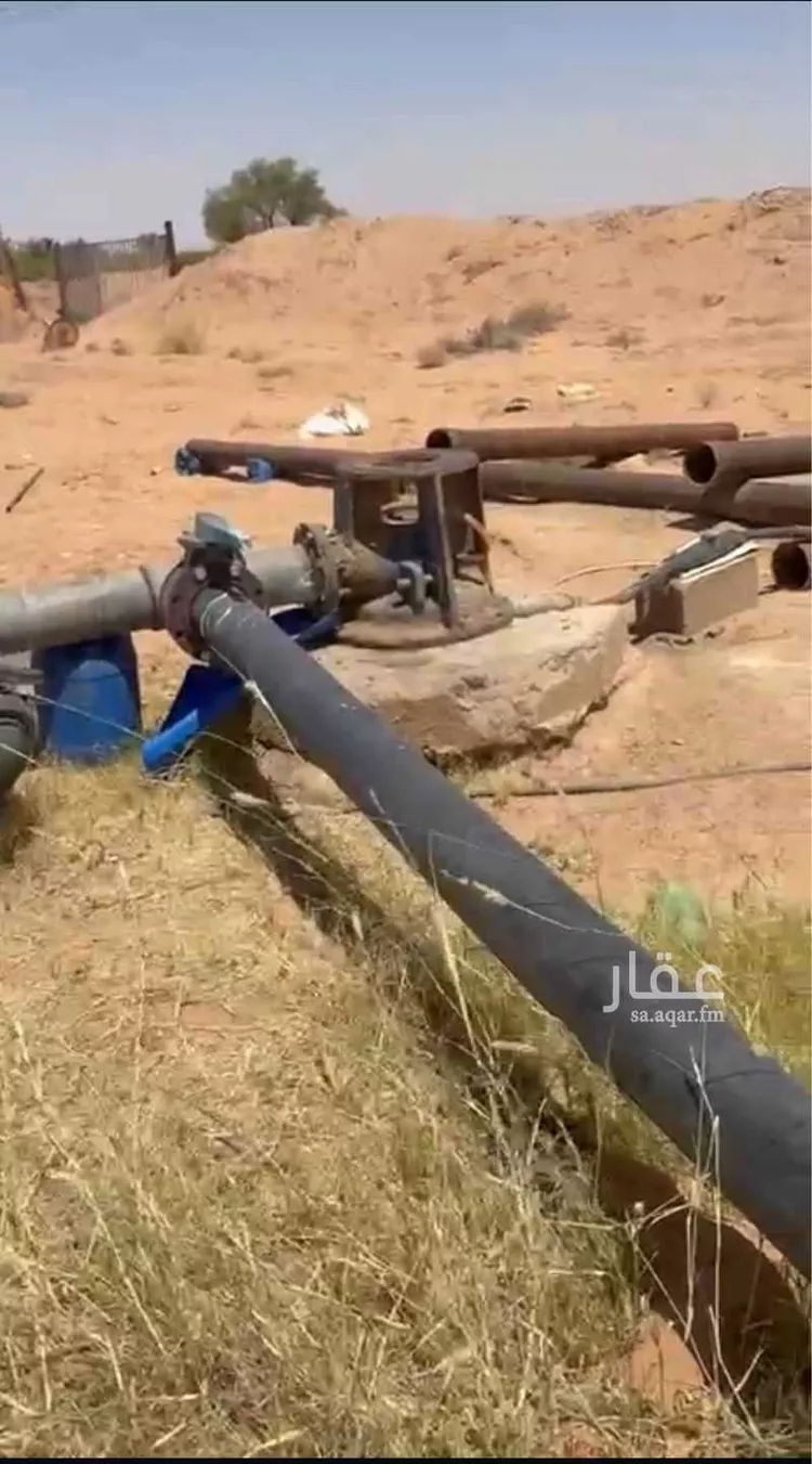 مزرعة للبيع في حي الورود, مدينة الشنان, منطقة حائل صورة 2