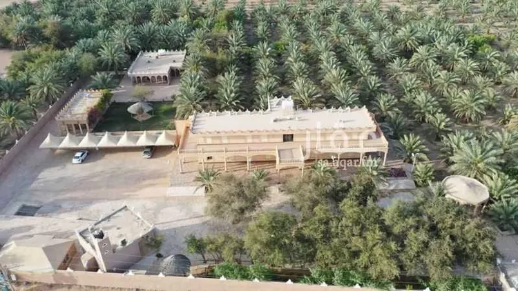 مزرعة للبيع في شارع عوده سدير 176, حي مزارع اوراط, مدينة مزارع اوراط, منطقة الرياض