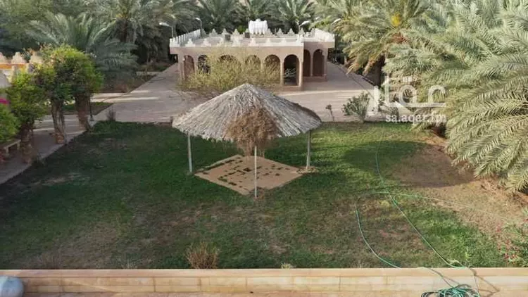 مزرعة للبيع في شارع عوده سدير 176, حي مزارع اوراط, مدينة مزارع اوراط, منطقة الرياض صورة 5