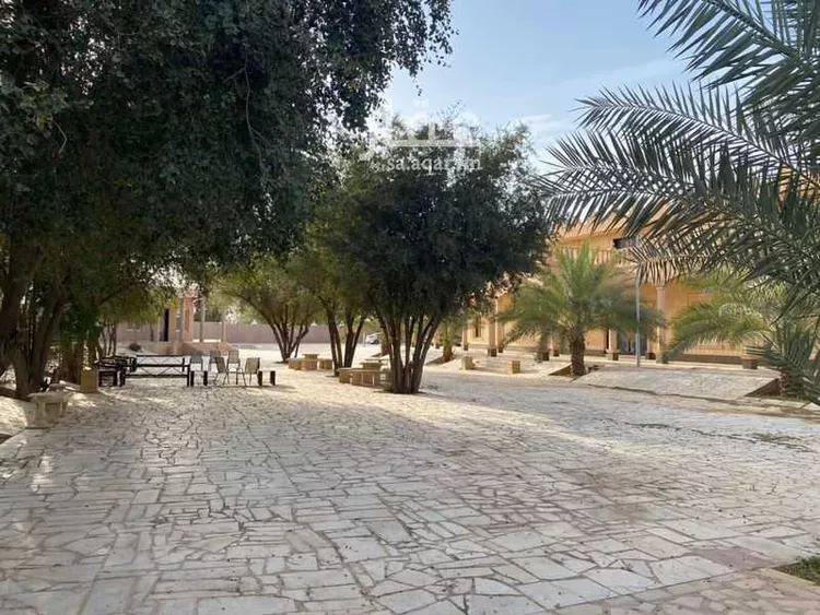 مزرعة للبيع في شارع عوده سدير 176, حي مزارع اوراط, مدينة مزارع اوراط, منطقة الرياض 6