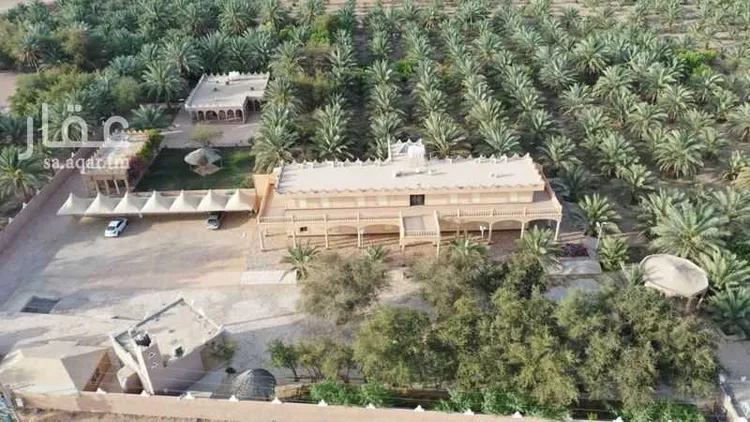 مزرعة للبيع في شارع شارع وراط, حي مزارع اوراط, مدينة مزارع اوراط, منطقة الرياض صورة 5