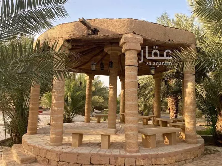 مزرعة للبيع في شارع شارع وراط, حي مزارع اوراط, مدينة مزارع اوراط, منطقة الرياض صورة 4