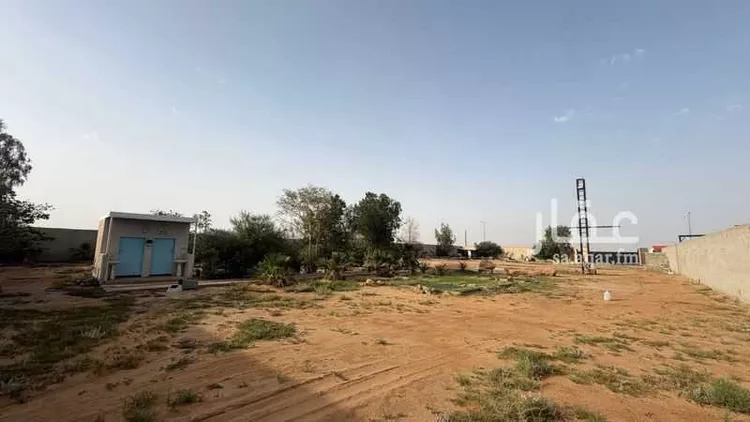 أرض للإيجار في شارع غير مسمى, حي النرجس, مدينة بريدة, منطقة القصيم صورة 4