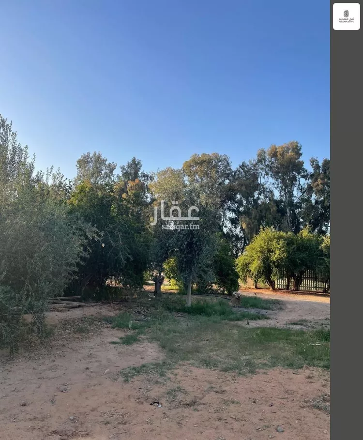 أرض للبيع في شارع حلية ابن جنادة ابن سويد الخزاعي, حي الفردوس, مدينة تبوك, منطقة تبوك صورة 3