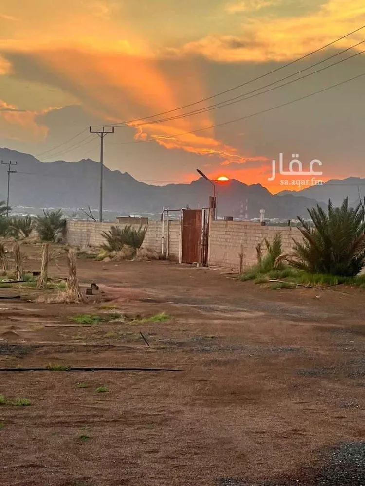 مزرعة للبيع في شارع المليليح 567, حي المليليح, مدينة المدينة المنورة, منطقة المدينة المنورة