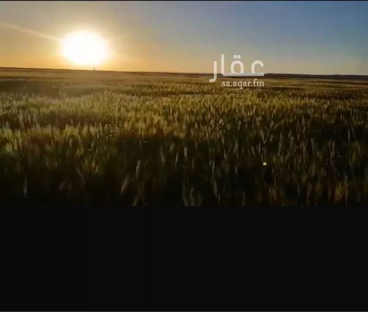 أرض للبيع في شارع طريق الملك فهد, حي الورود, مدينة تبوك, منطقة تبوك صورة 2