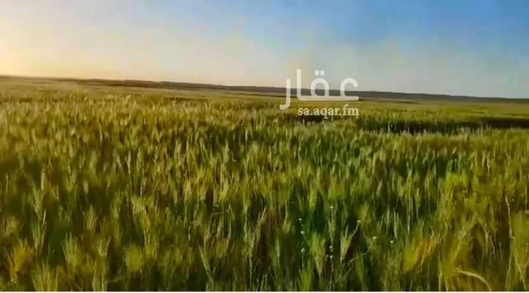 أرض للبيع في شارع طريق الملك فهد, حي الورود, مدينة تبوك, منطقة تبوك